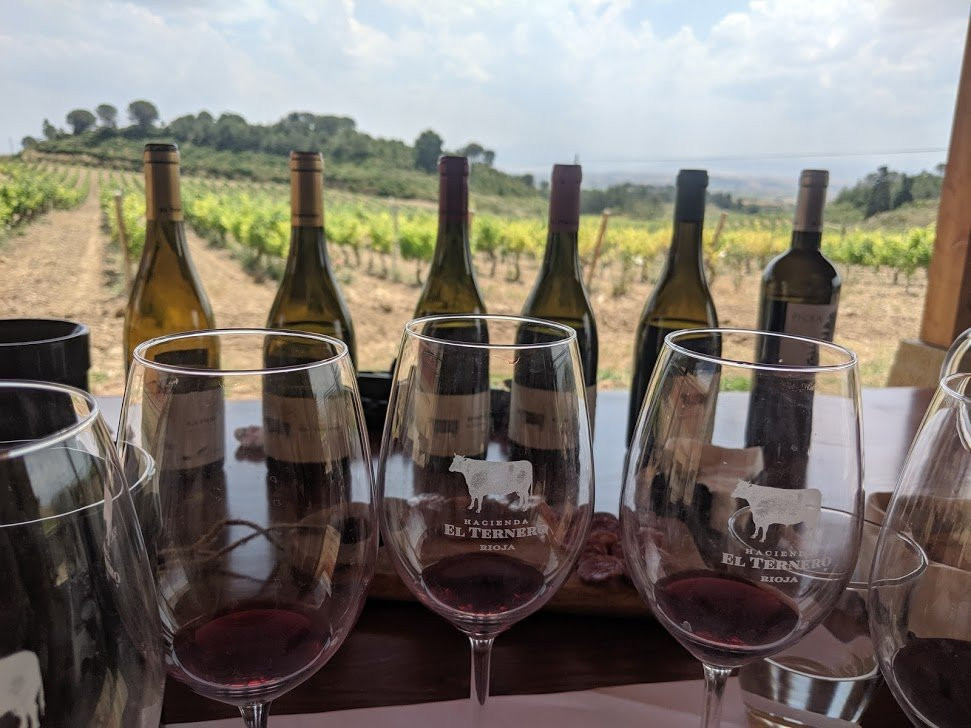Bodegas Hacienda El Ternero-Ternero必去景点