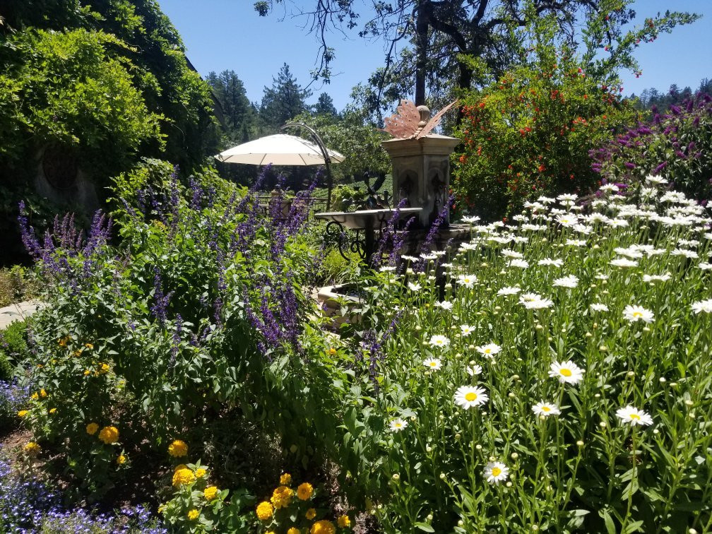 Sherwin Family Vineyards-圣海伦娜必去景点