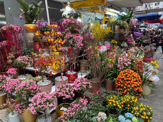 机利臣街市场-香港必去景点