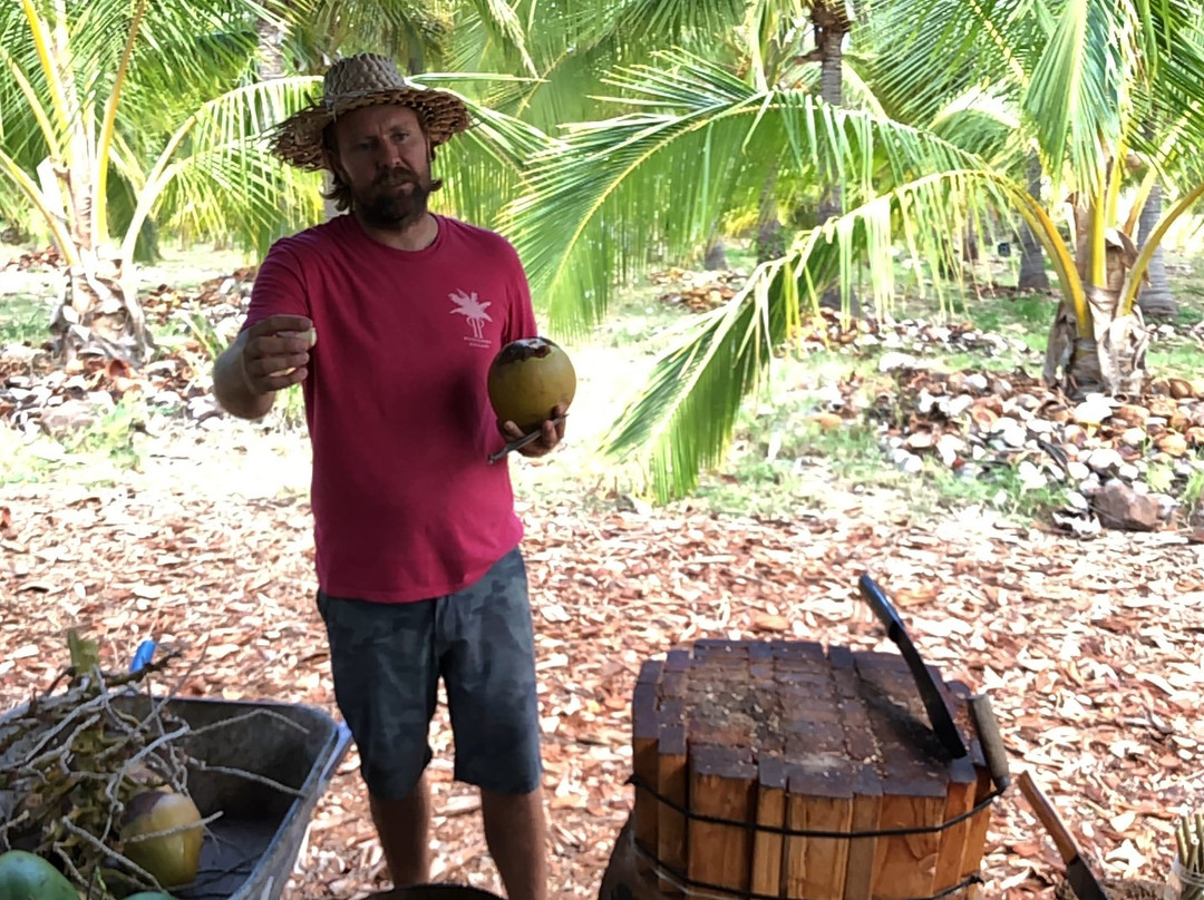 Maui Coconut Tour at Punakea Palms景点图片