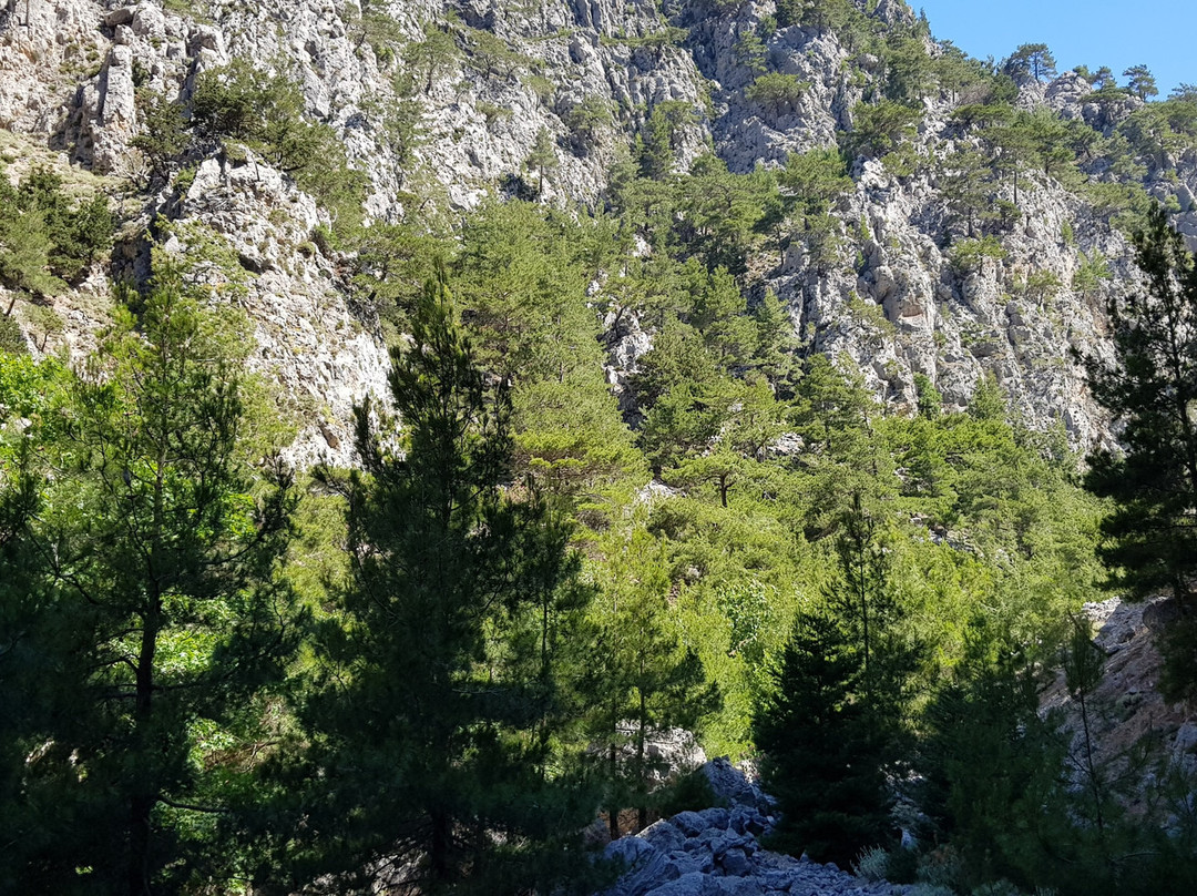 Agia Irini Gorge景点图片