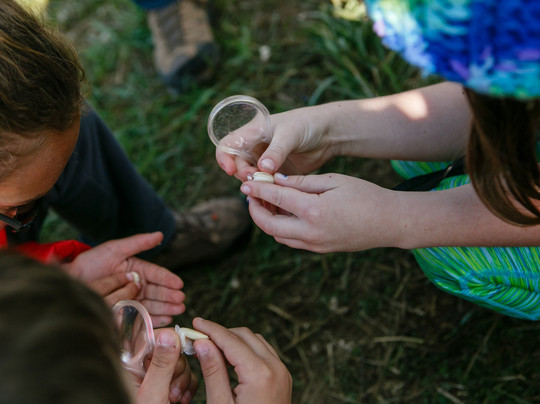 Yule Forest-Stockbridge必去景点