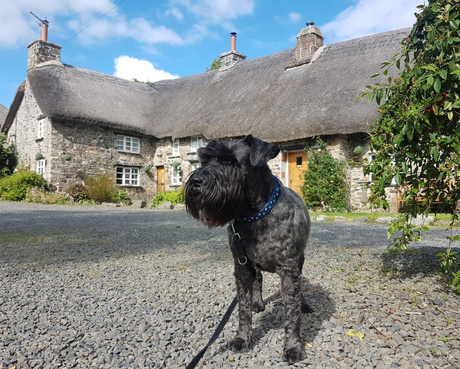 Bearslake Inn-Okehampton必去景点