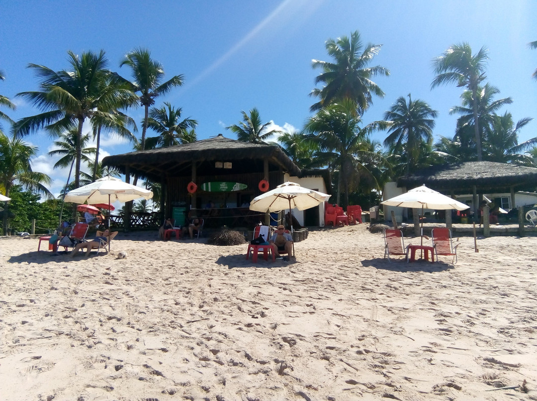 Bahia Plaza Hotel主图