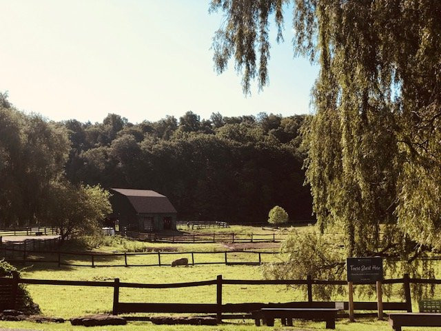 Catskill Animal Sanctuary主图