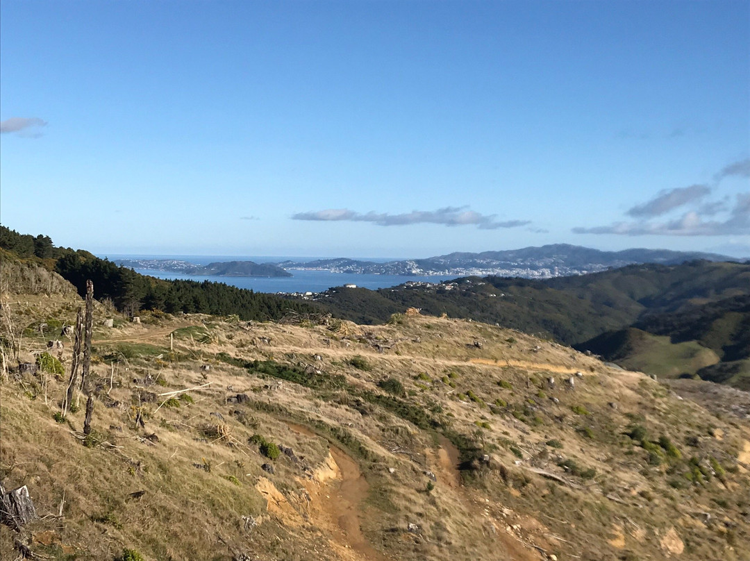 Belmont Regional Park-惠灵顿必去景点