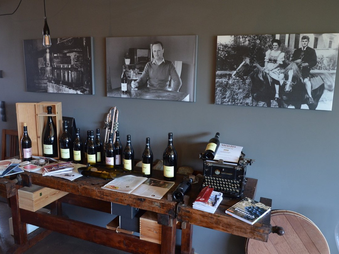 Azienda Vinicola T. Pichler景点图片
