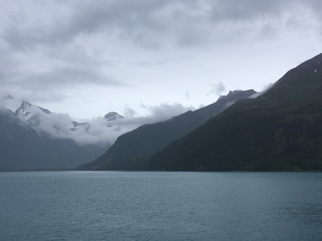 Arctic Cruise In Norway AS - Day Tours景点图片