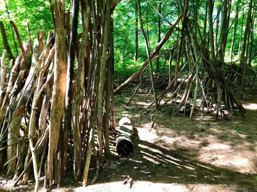 Giorgetti Park-Rutland必去景点