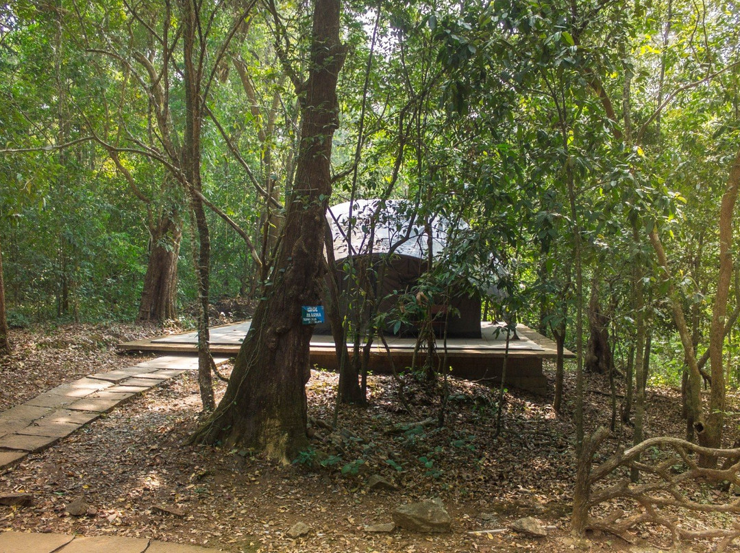 Seethanadi Nature Camp主图