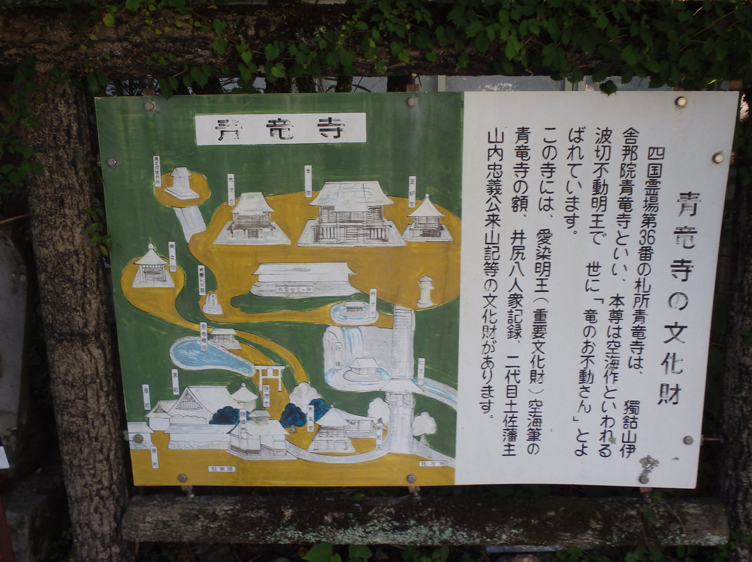 Shoryuji Temple-土佐市必去景点