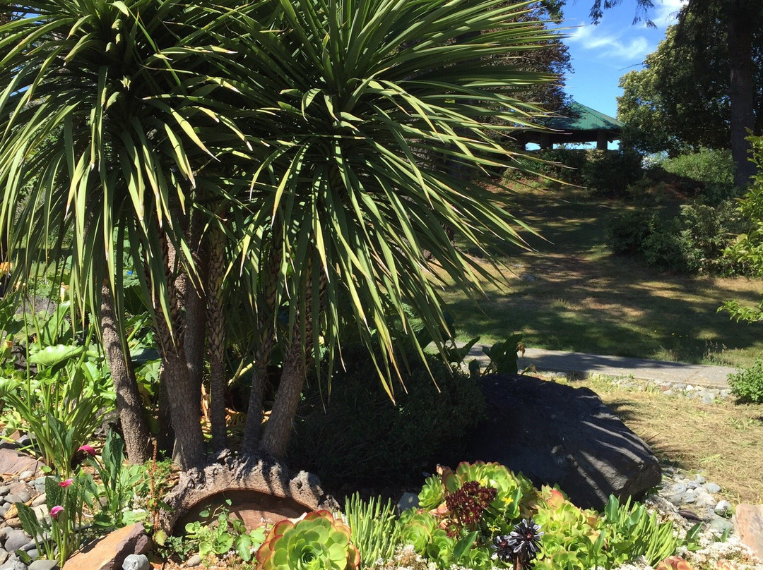 Azalea Park-布鲁金斯必去景点