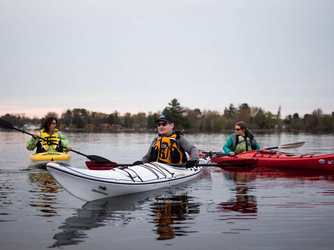 Shockwaves-Paddle Adventures and First Aid-诺斯贝必去景点
