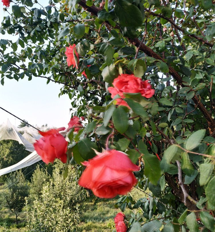 Aastha Home Stay主图