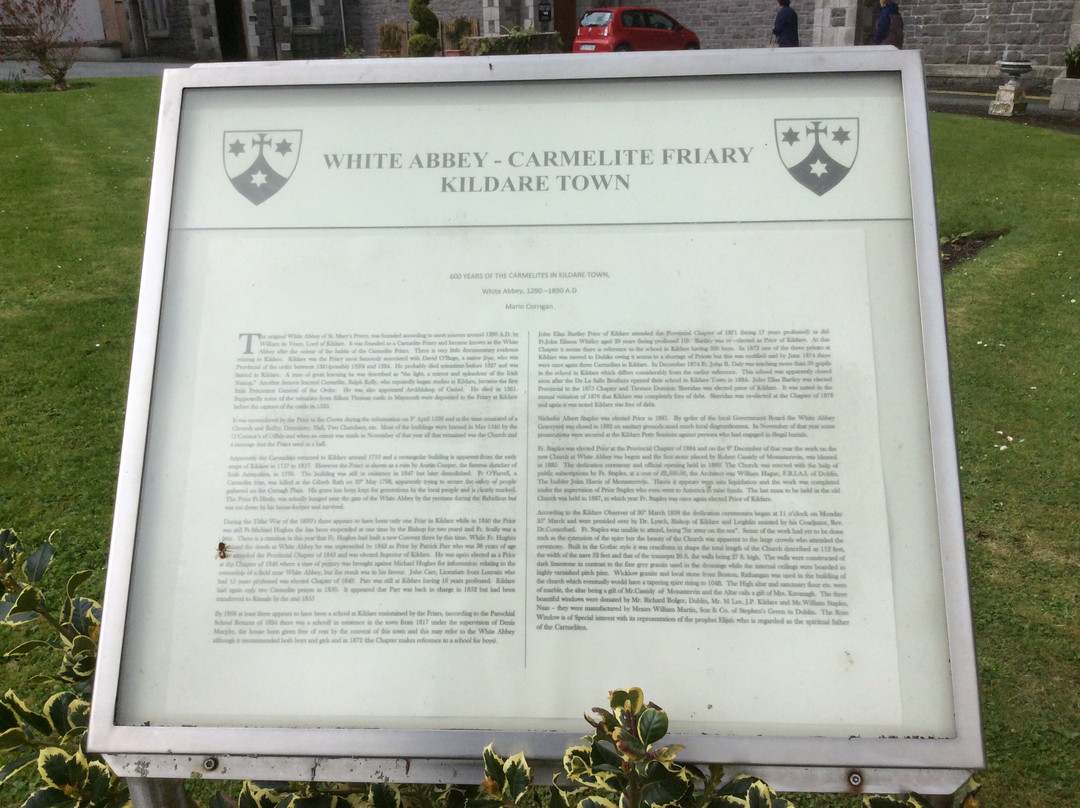 Carmelite Friary Church-基尔代尔必去景点
