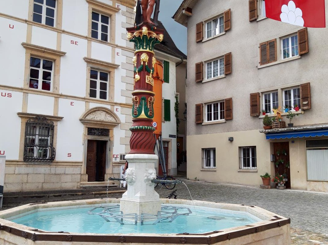 Fontaine du Sauvage-德莱蒙必去景点