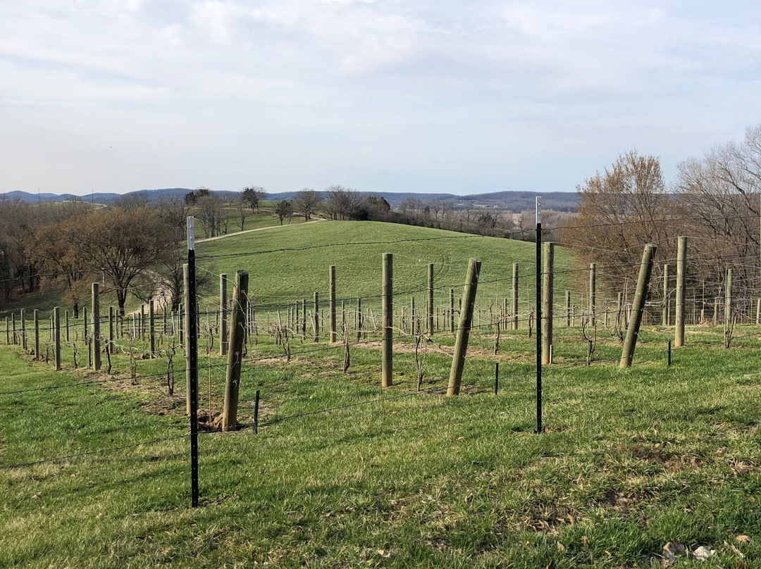 Copper Mule Distillery-赫曼必去景点