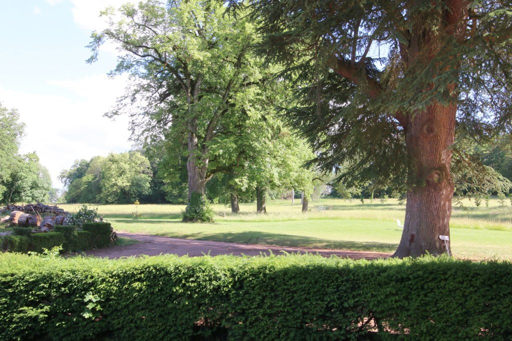 Chateau de Bresse sur Grosne主图