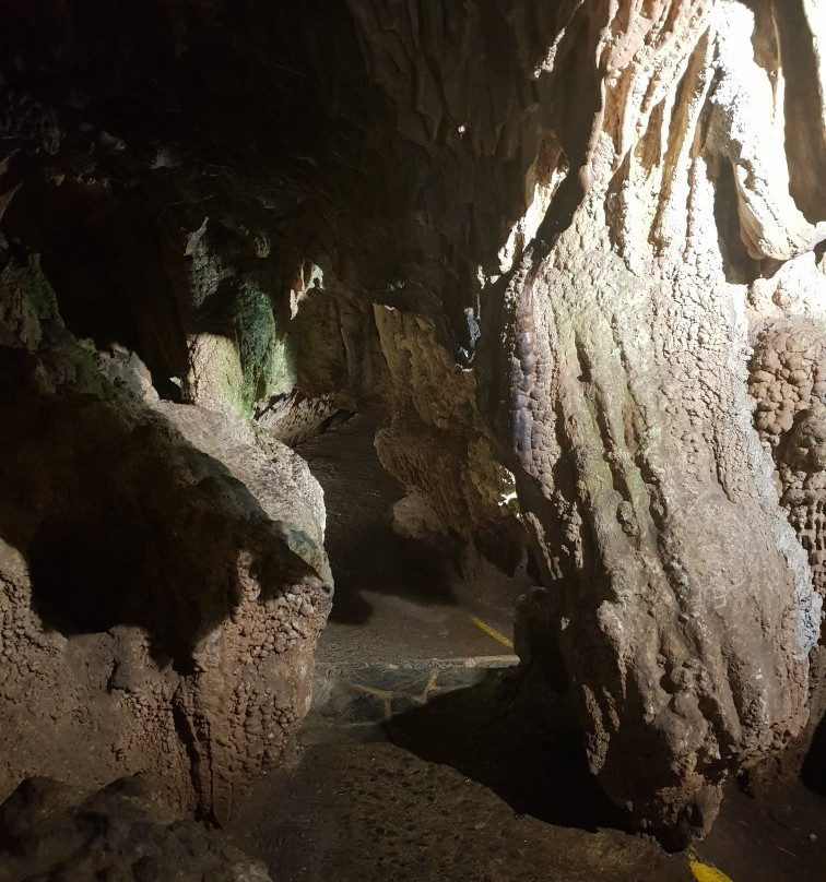 Cuevas de Santo Tomas景点图片