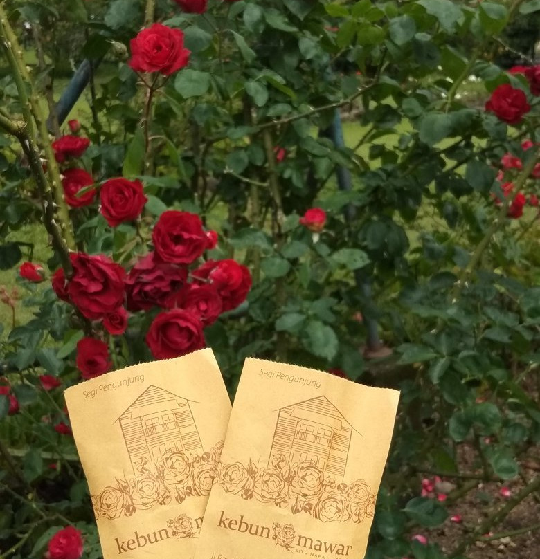 Kebun Mawar Situhapa主图