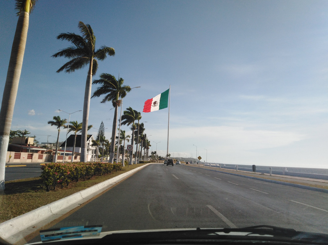 Campeche Tarpon景点图片