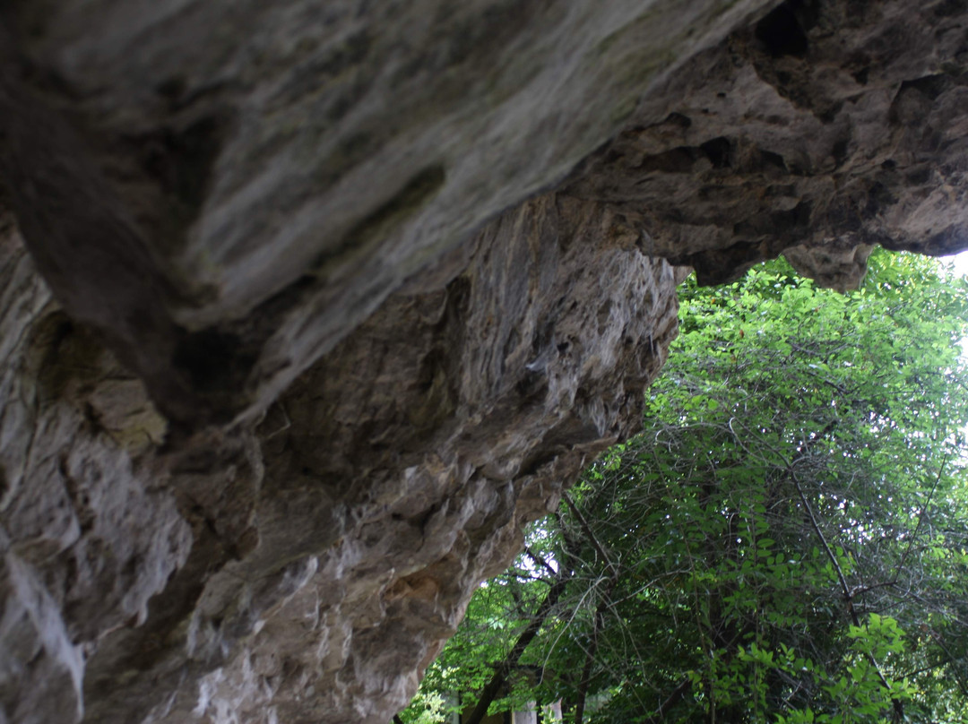 Cueva de Tito Bustillo景点图片