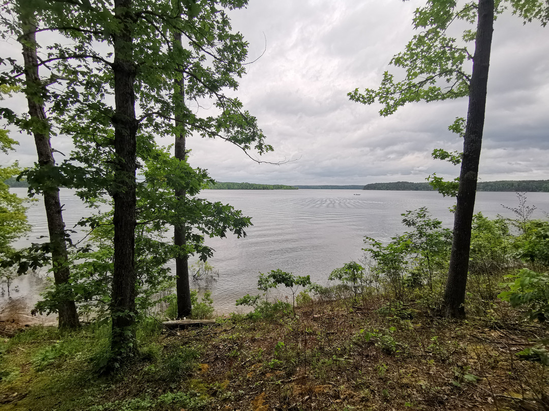 Lake Ouachita Shores Resort主图