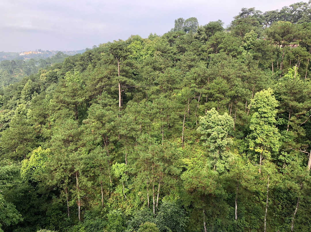 OYO 17362 Shillong Mantra Guest House主图
