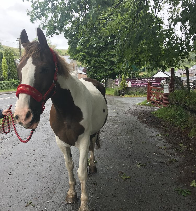 彭特利马术酒店主图