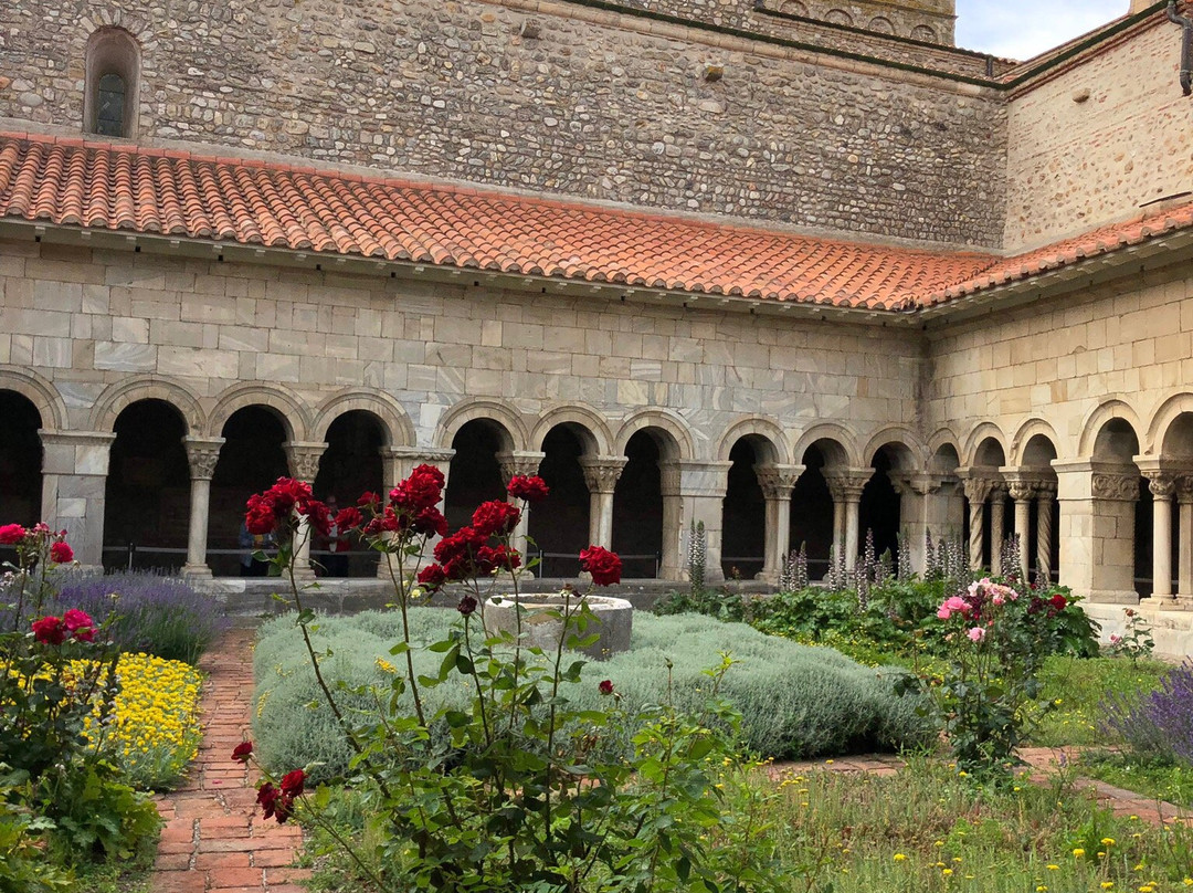 Elne Cathedral and Museum景点图片