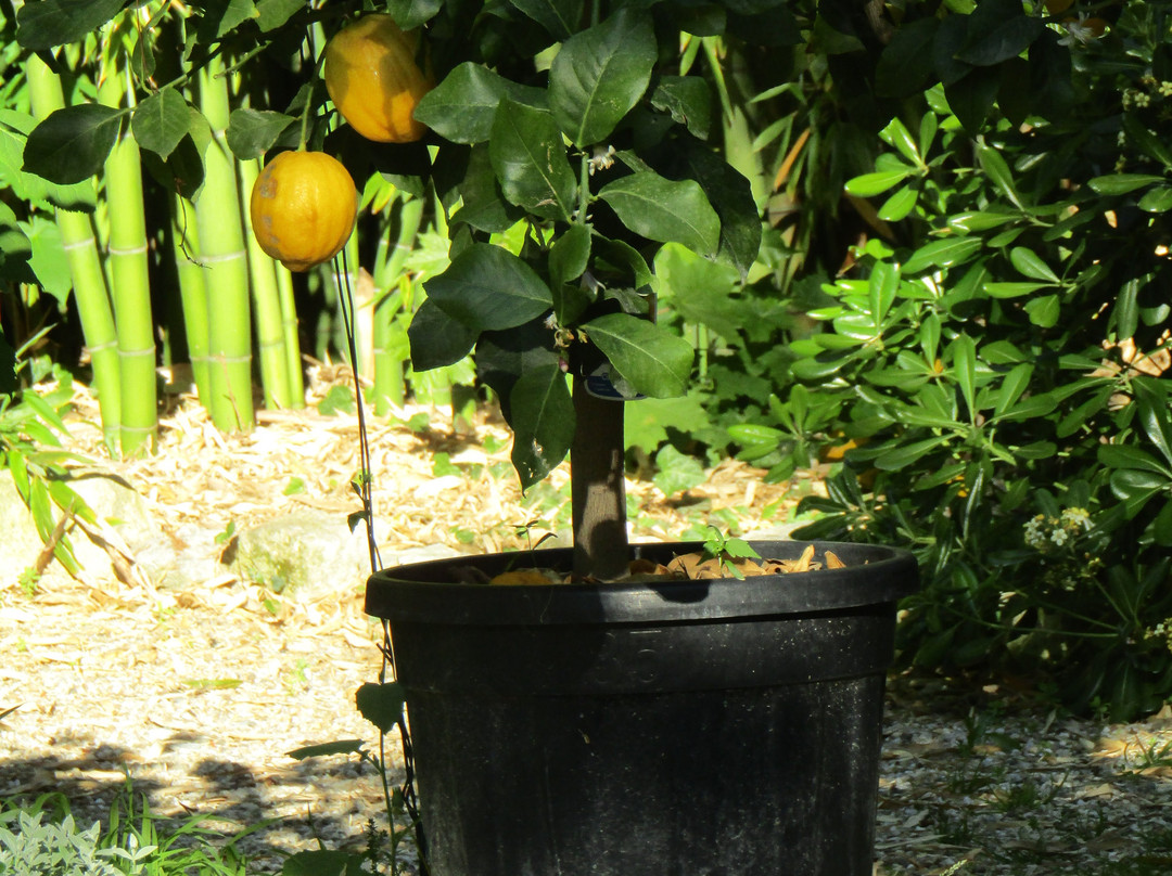 Le Moulin De Moulis主图