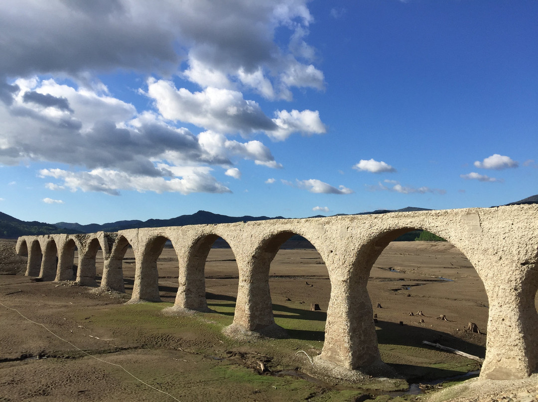 Taushubetsu River Bridge景点图片