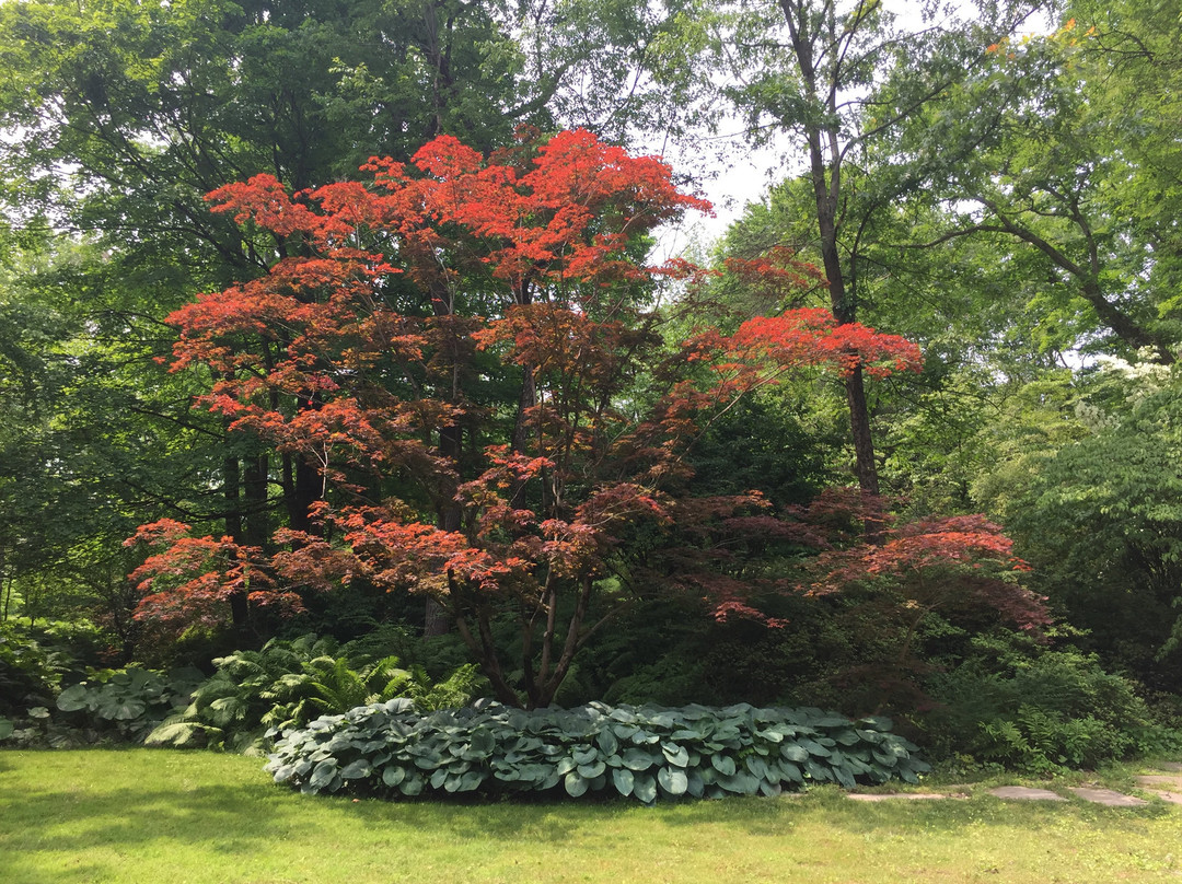 Hortulus Farm Garden and Nursery景点图片