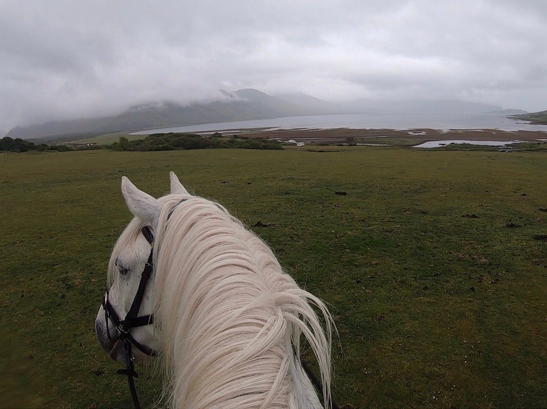 Mull Pony Trekking景点图片