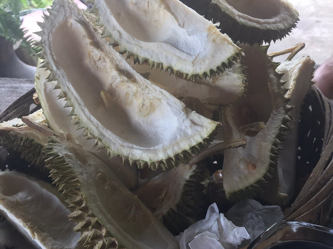 Bao Sheng Durian Farm景点图片