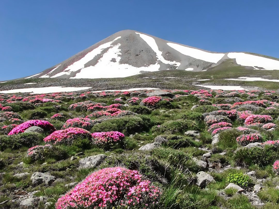 Sahand Mountain-Tabriz必去景点