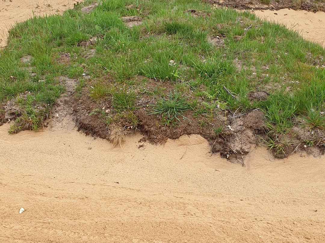 The National Golf Centre, Woodhall Spa-林肯必去景点