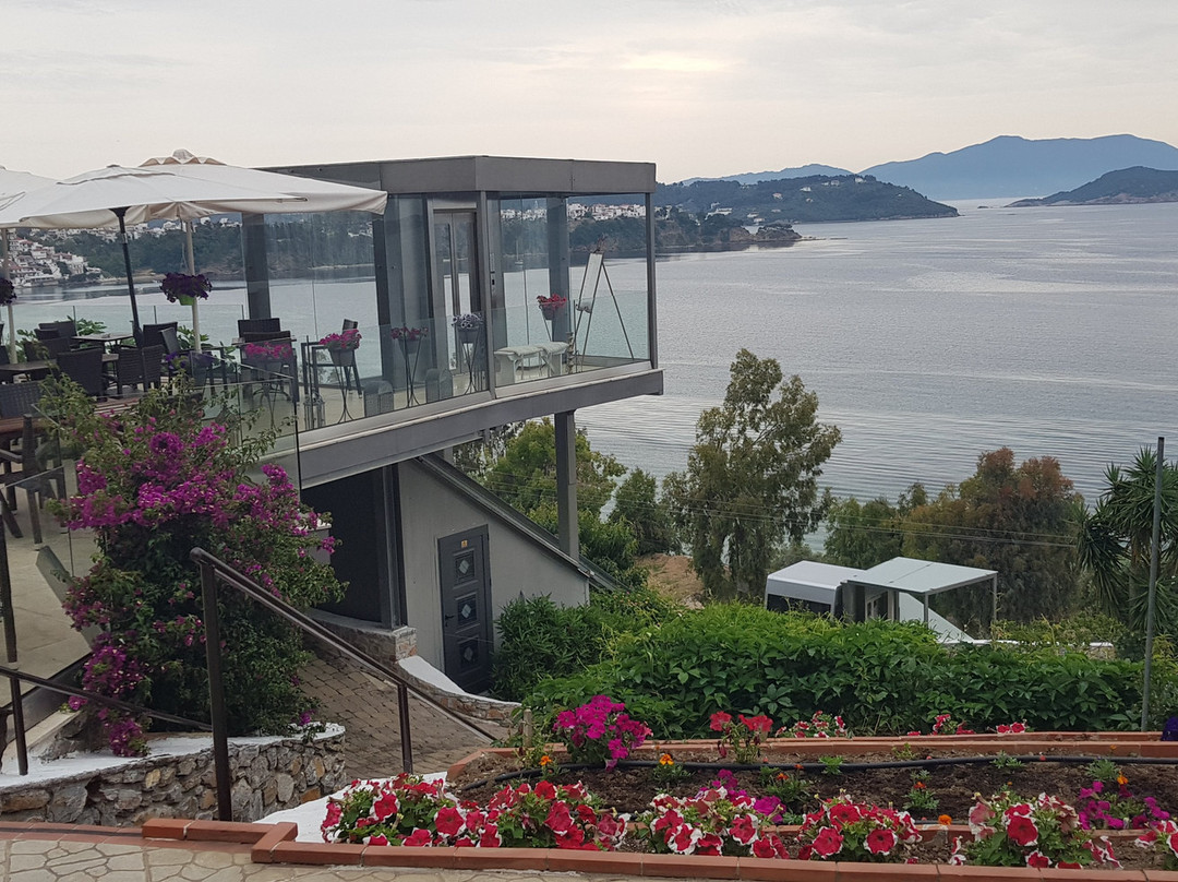 Hotel Villa Alexis主图