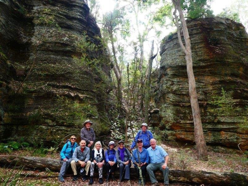 Ferntree Gully-Rylstone必去景点