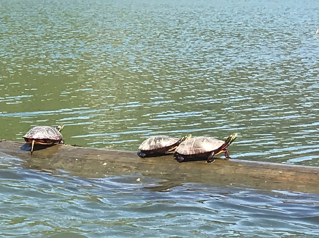 North Hartland Lake-North Hartland必去景点