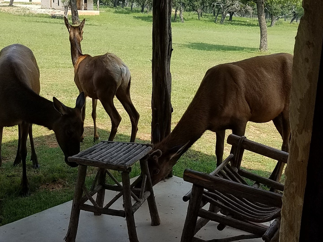 Country Inn Cottages主图