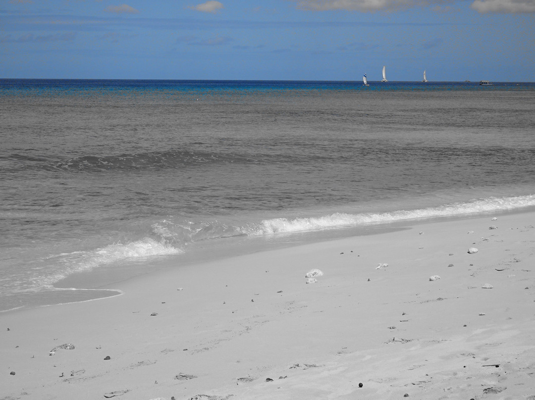 Gibbs Beach-Saint Peter Parish必去景点
