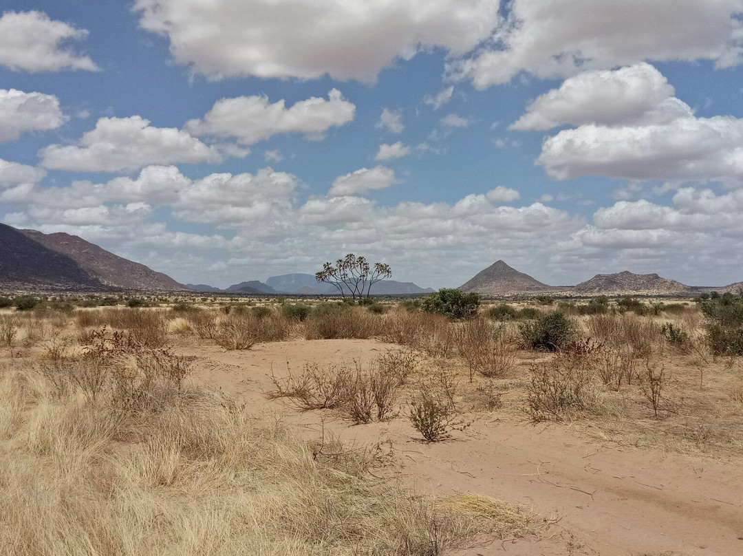 null-桑布鲁国家保护区