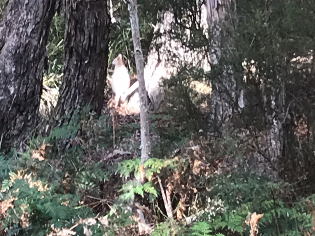 Bruny Island Cruises-霍巴特必去景点