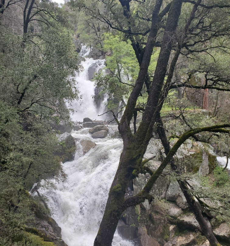 Lewis Creek Trail-菲什营必去景点