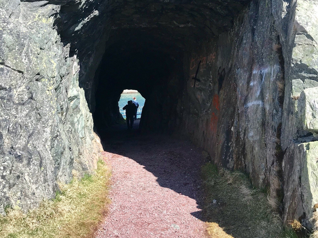 The Brigus Tunnel景点图片