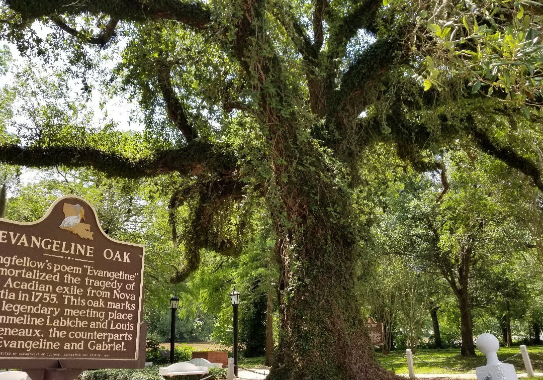 Evangeline Monument-Saint Martinville必去景点