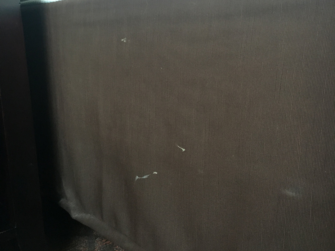 杜勒斯机场-斯德林逸林酒店主图