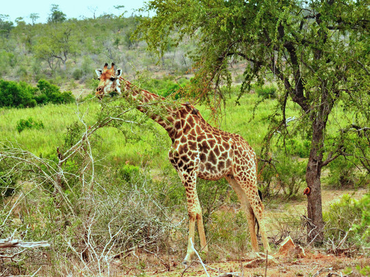 EXPLOREK2K SAFARIS AND TRANSFERS-雾观必去景点