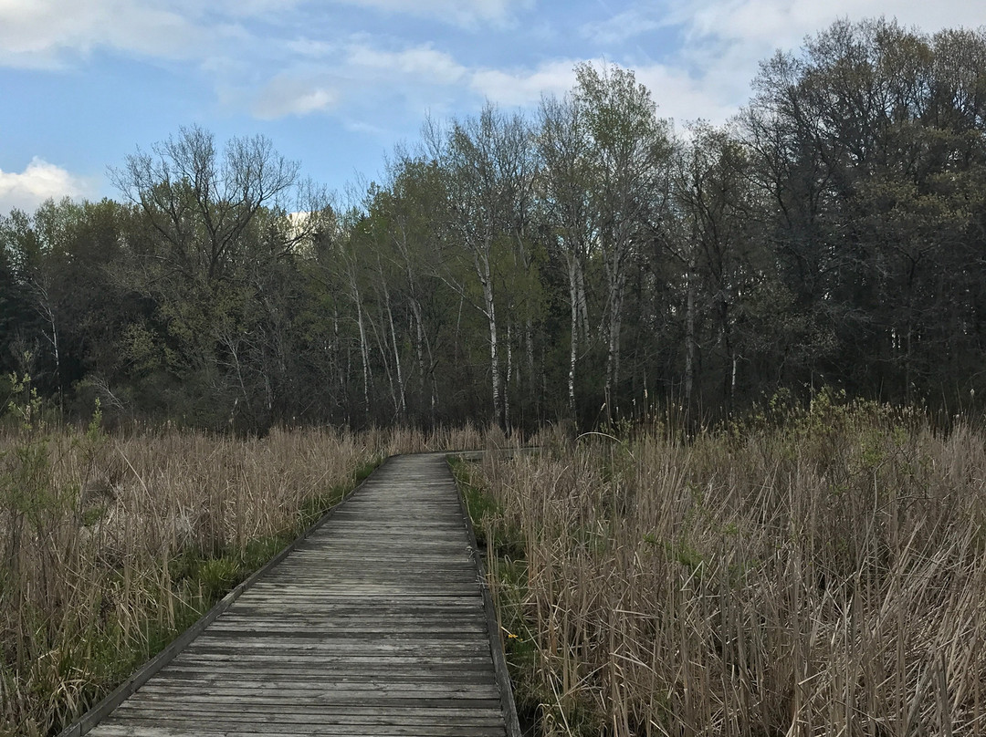 Tamarack Nature Preserve景点图片